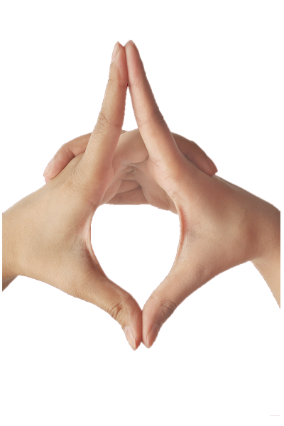 Yoga Mudra